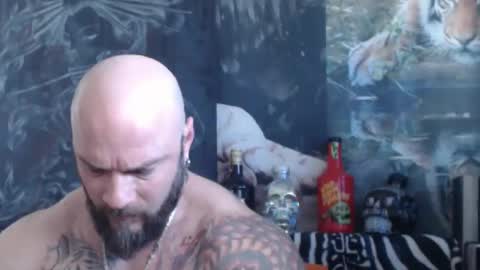 viking online show from 28, 4, 2026