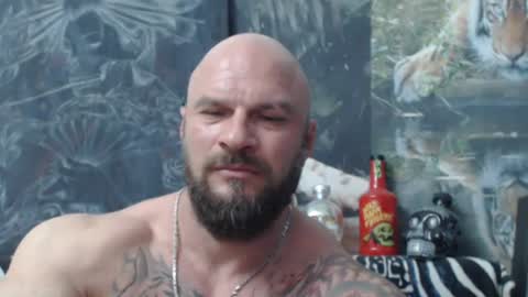 viking online show from 11, 6, 2026