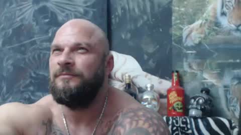 viking online show from 12, 6, 2026