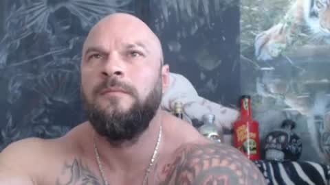 viking online show from 13, 6, 2026