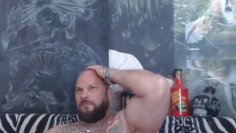viking online show from 16, 6, 2026