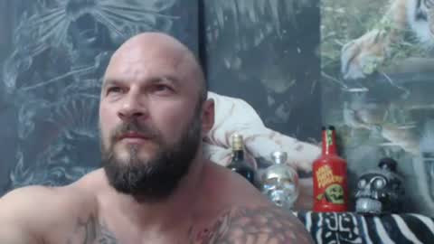 viking online show from 16, 6, 2026