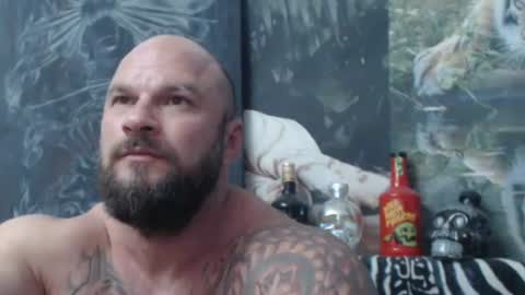 viking online show from 17, 6, 2026
