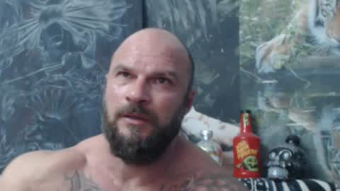 viking online show from 21, 6, 2026