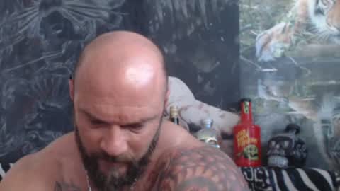 viking online show from 22, 6, 2026
