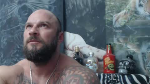 viking online show from 23, 6, 2026