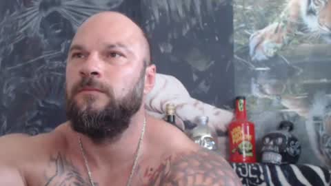 viking online show from 24, 6, 2026