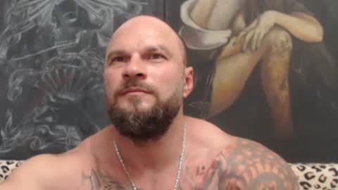 viking online show from 24, 6, 2026