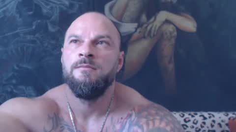viking online show from 25, 6, 2026