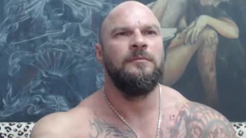 viking online show from 30, 6, 2026