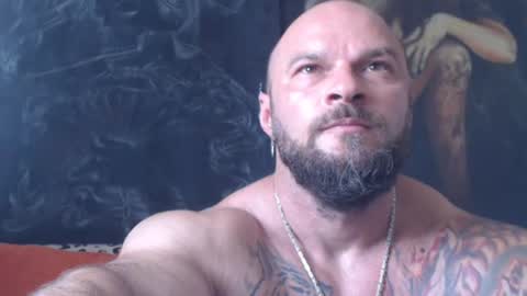 viking online show from 3, 7, 2026