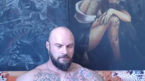 viking online show from 14, 7, 2026