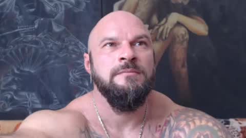 viking online show from 24, 7, 2026