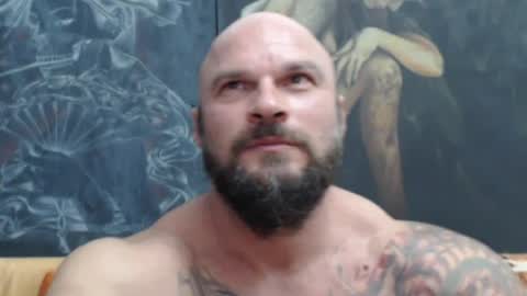 viking online show from 27, 7, 2026