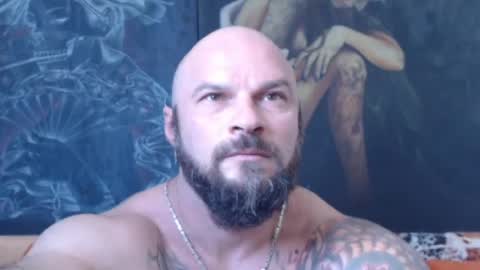 viking online show from 29, 7, 2026