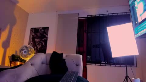 Vincent online show from 28, 7, 2026