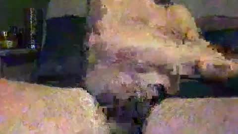 Vinny online show from 1, 5, 2026