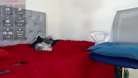 vinzent_lafed_ online show from 5, 10, 2025