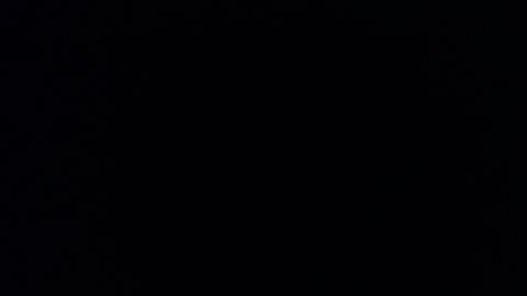 Daniela online show from 16, 12, 2024