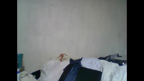 Snapshot of virgorian_enigma chatting on 14, 12, 2024 priscilla online show from 14, 12, 2024