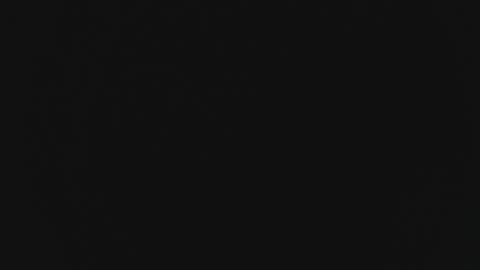 Snapshot of vitel2000 chatting on 10, 3, 2025 Marie online show from 10, 3, 2025