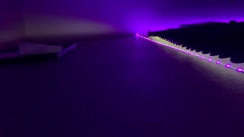 vivalinajune online show from 27, 6, 2026
