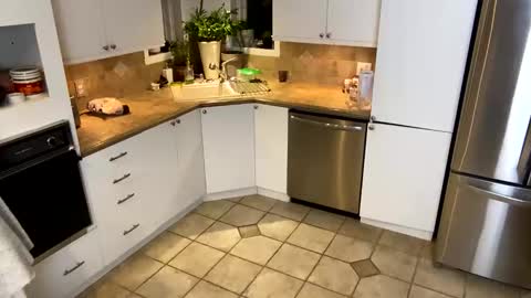 Snapshot of viviannexxx2022 chatting on 20, 1, 2025 Vivlove online show from 20, 1, 2025