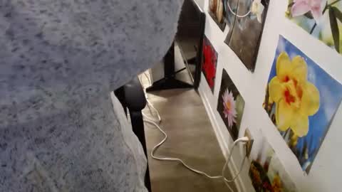 Vixen Fyre online show from 12, 12, 2024