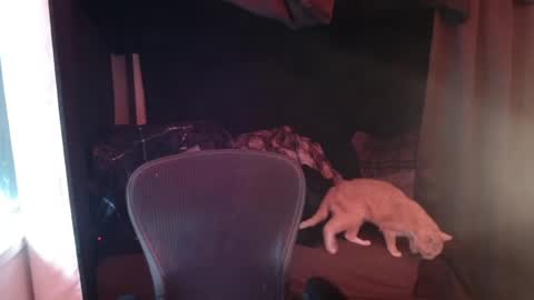 Rev online show from 27, 4, 2026