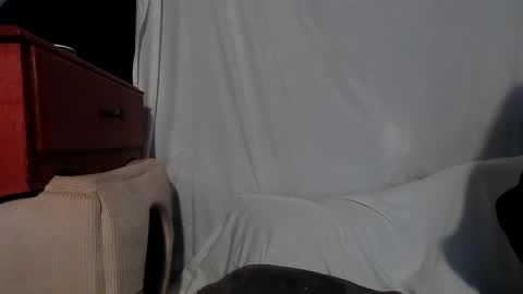 Rose online show from 13, 12, 2024