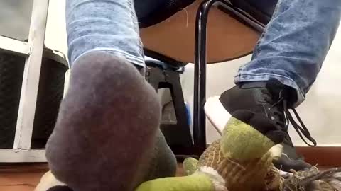 WaltherFeet  online show from 10, 2, 2025