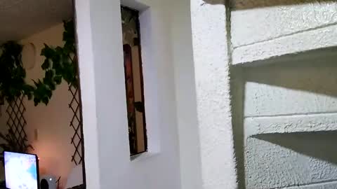 Waningrose  Lu online show from 4, 1, 2025