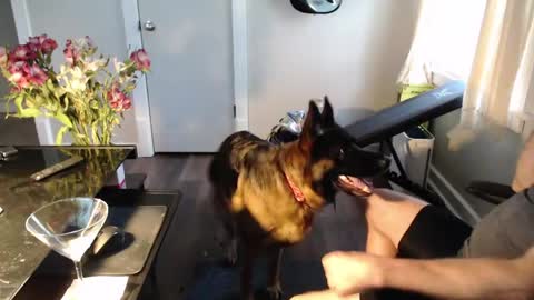 wasted_daze_ online show from 11, 3, 2026