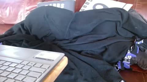 Snapshot of watchedging chatting on 1, 12, 2024 Hereforfun online show from 1, 12, 2024