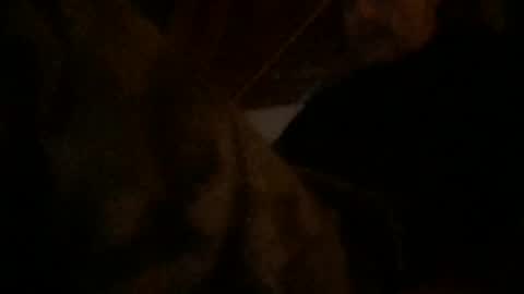 Snapshot of watchinggold chatting on 22, 7, 2026 watchinggold online show from 22, 7, 2026