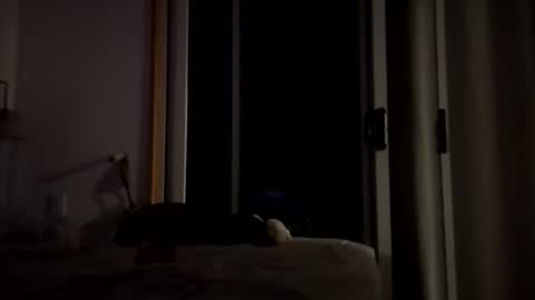 Snapshot of watershed111111 chatting on 14, 1, 2026 watershed111111 online show from 14, 1, 2026