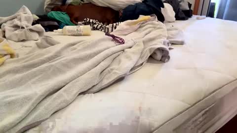 Snapshot of watershed111111 chatting on 26, 2, 2026 watershed111111 online show from 26, 2, 2026