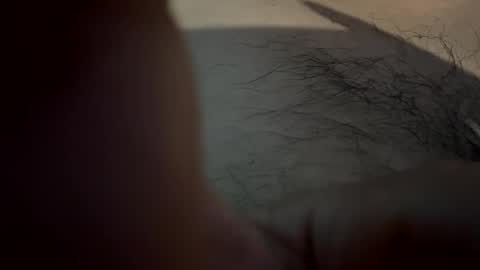 waxican online show from 14, 3, 2026