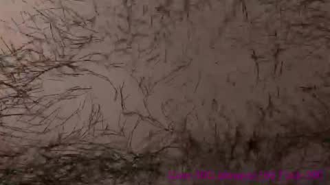 Lili online show from 24, 4, 2026