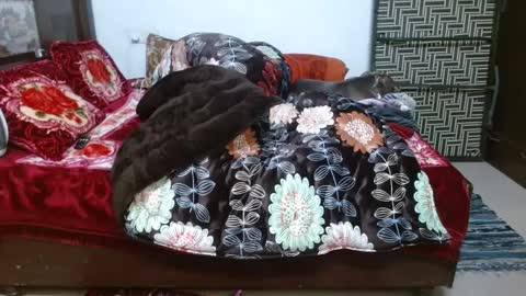 Snapshot of we_are_indian chatting on 23, 12, 2024 khushiwife kabirhubby kavyasexy gf online show from 23, 12, 2024