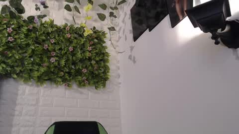 Trixie 3 online show from 17, 2, 2025