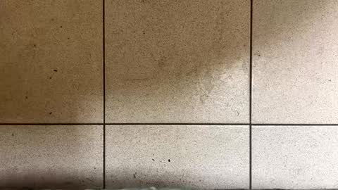 webchatter99 online show from 2, 1, 2025