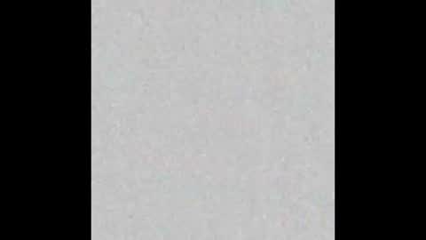 wellendowed24 online show from 1, 3, 2026