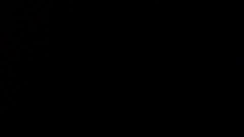 wellingtont online show from 21, 12, 2025