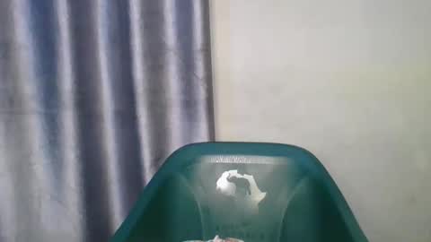 wetfatpussy_ online show from 13, 2, 2026