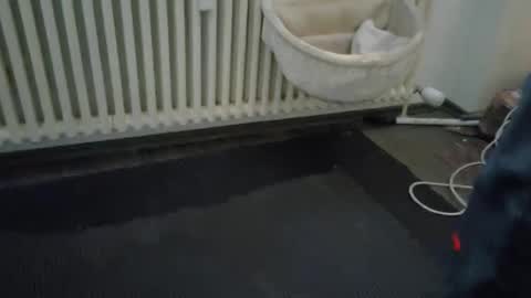 Wetgerman online show from 11, 3, 2025