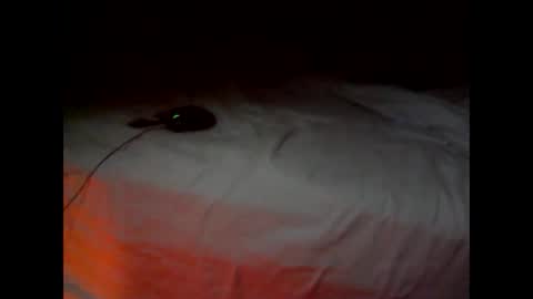 wgefwdtfvnlx online show from 25, 2, 2026