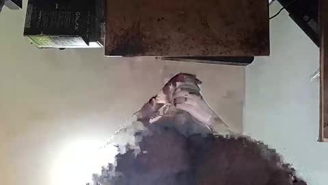 whatsexo online show from 19, 9, 2025