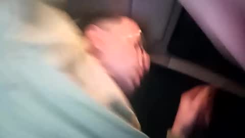 stoffy online show from 16, 11, 2025