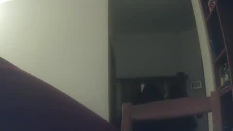 Whiteduke online show from 6, 12, 2024